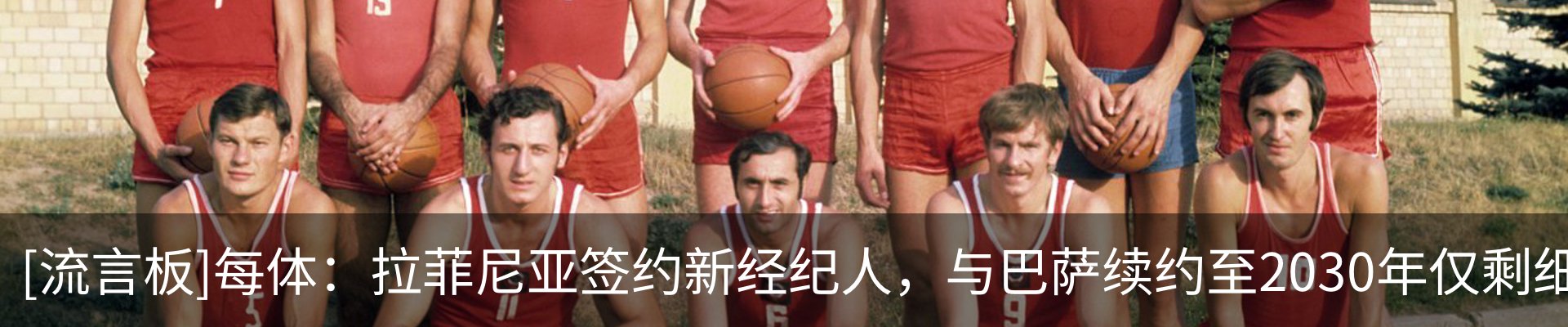 新闻动态